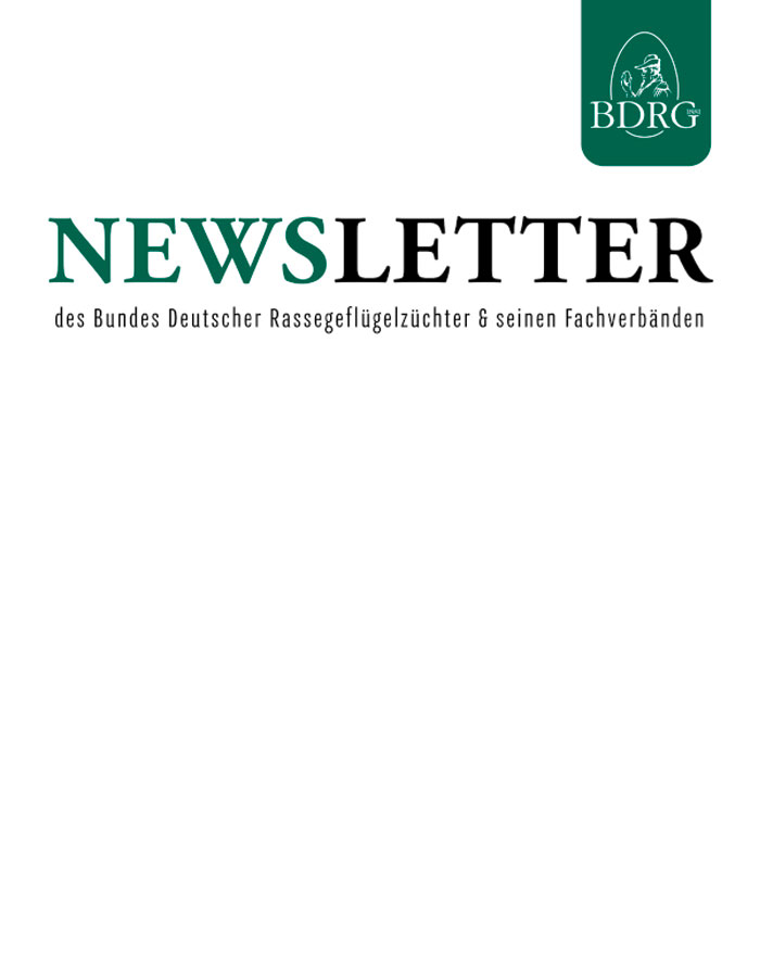 BDRG Newsletter 02